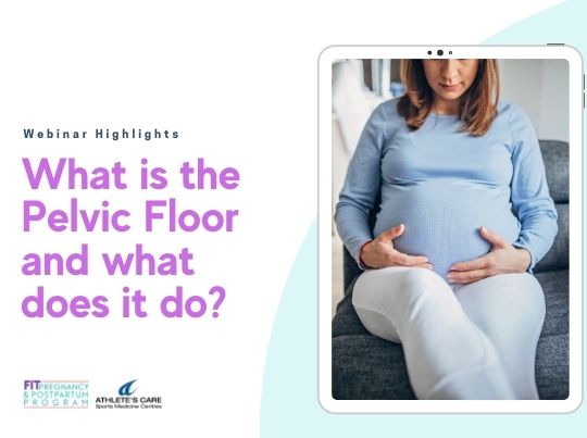 What is the Pelvic Floor and what does it do?